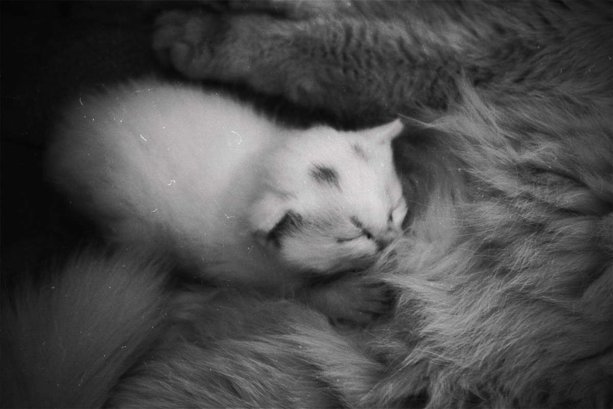 ��������� ����� ����� �������� �������� �� PhotoGeek.ru #�������� ��� #�������� ���