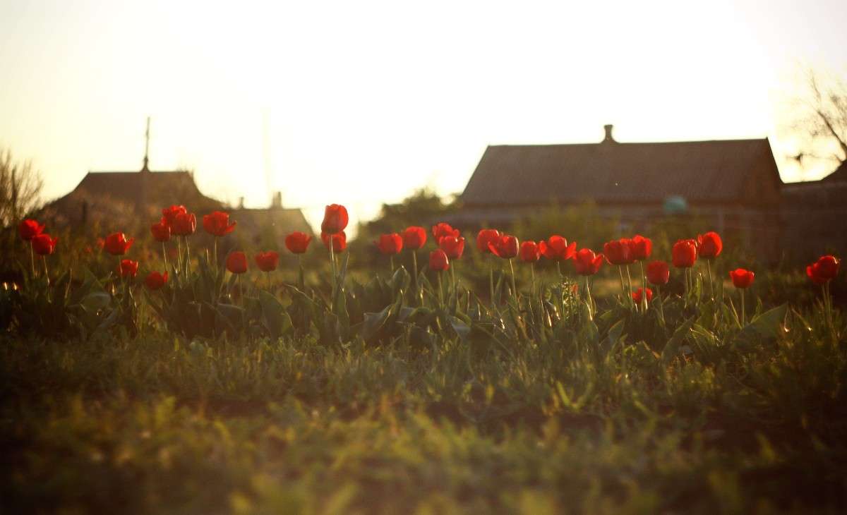  ����� �������� �������� �� PhotoGeek.ru