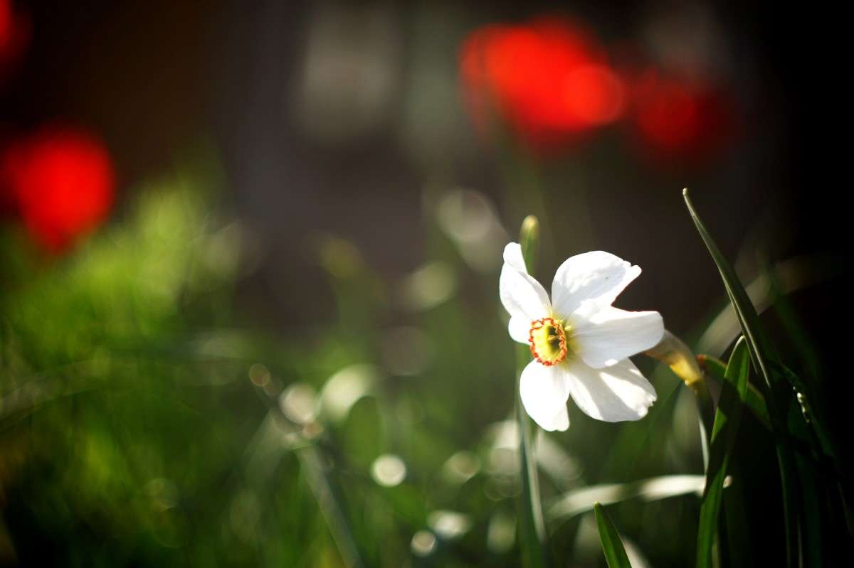 ... ����� �������� �������� �� PhotoGeek.ru