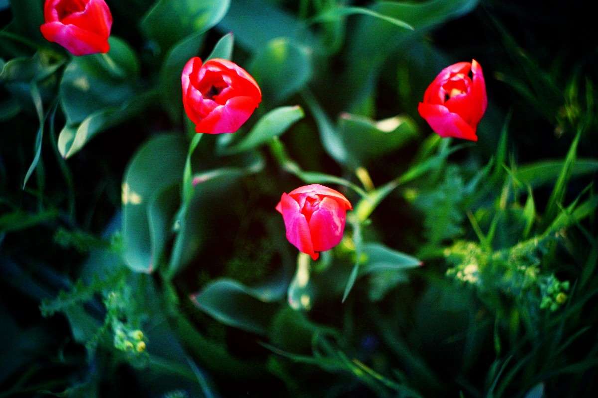 ... ����� �������� �������� �� PhotoGeek.ru