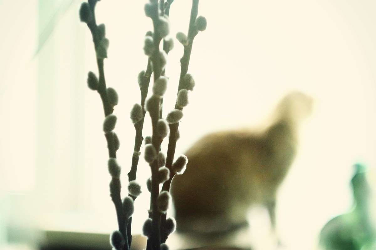 ������ ����� �������� �������� �� PhotoGeek.ru #�������� ��� #�������� ���