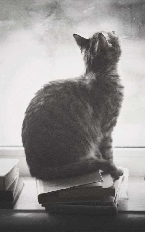 ��� ������ ����� �������� �������� �� PhotoGeek.ru #�������� ��� #�������� ���