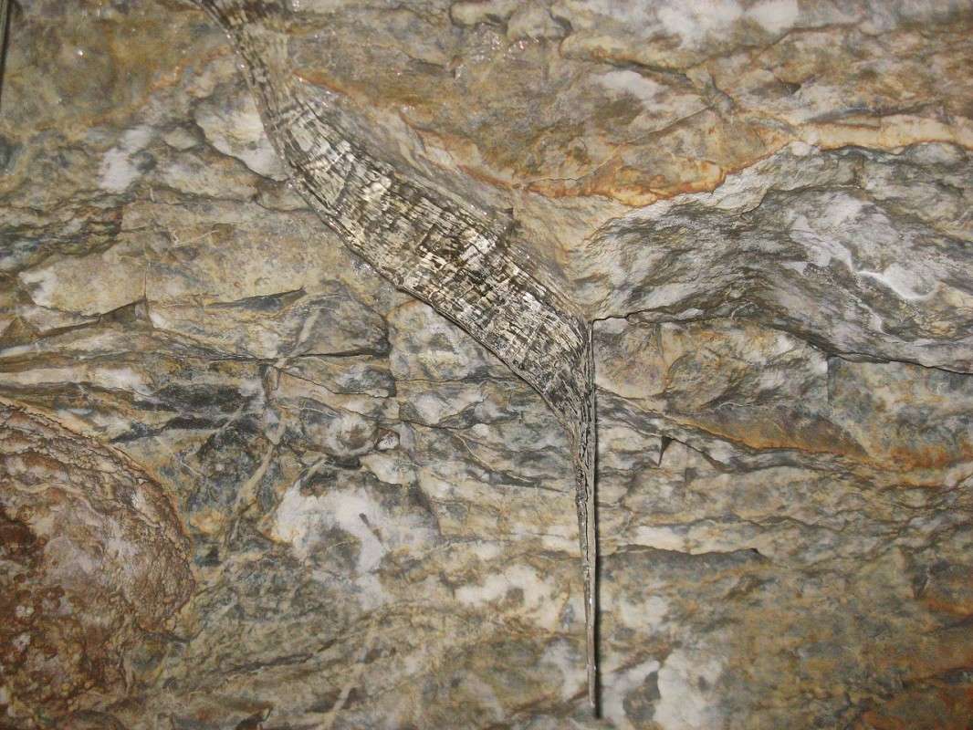 ... ����� J.G.Ch.  �� PhotoGeek.ru #�����