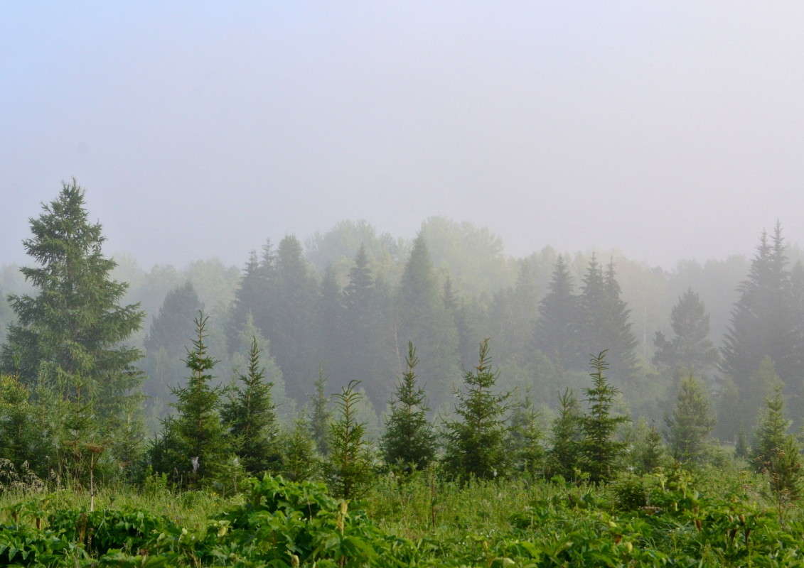 ... ����� J.G.Ch.  �� PhotoGeek.ru #������ ��� �������