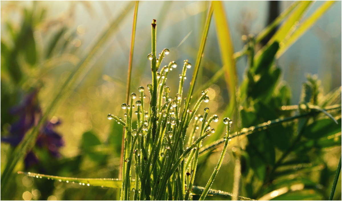 ... ����� J.G.Ch.  �� PhotoGeek.ru #�����