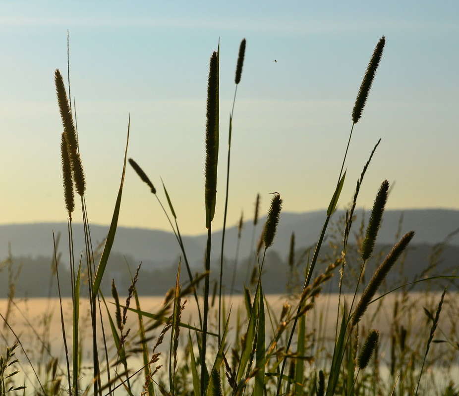 ... ����� J.G.Ch.  �� PhotoGeek.ru #������ ��� �������