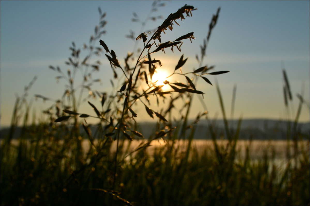 ... ����� J.G.Ch.  �� PhotoGeek.ru #������ ��� �������