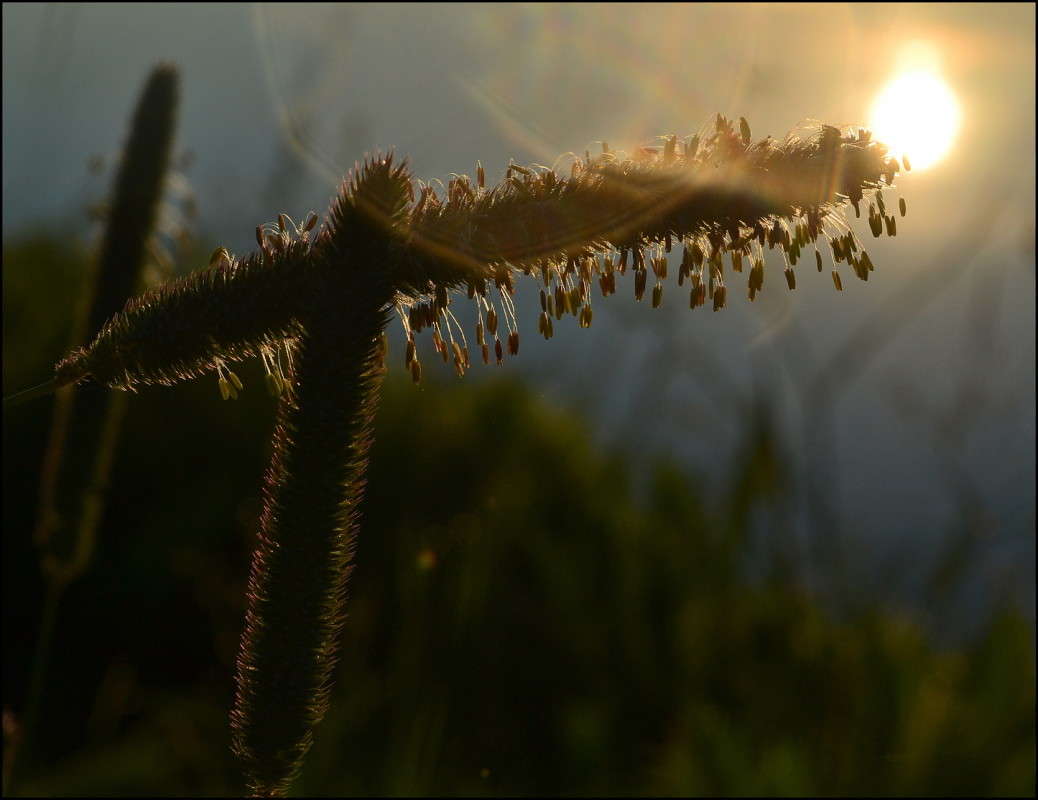 ... ����� J.G.Ch.  �� PhotoGeek.ru #�����