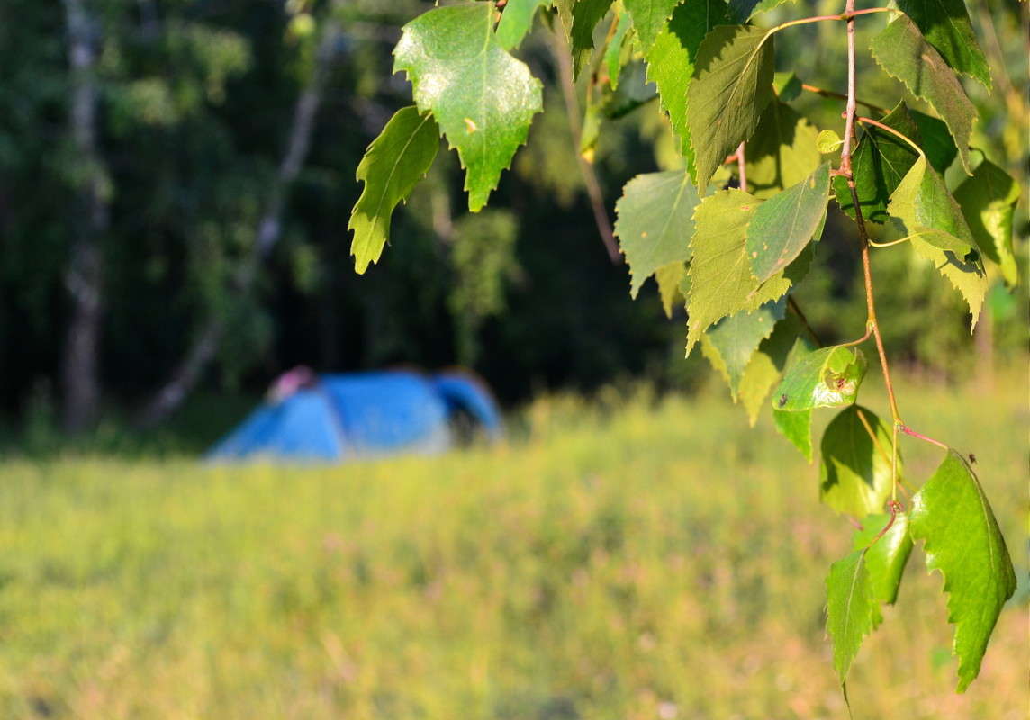 ... ����� J.G.Ch.  �� PhotoGeek.ru #������ ��� �������