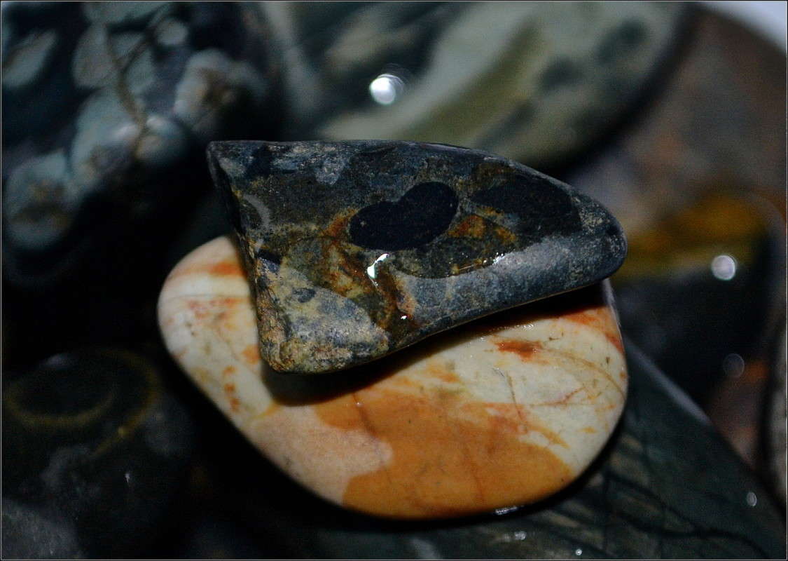 ������� ��������� ����� J.G.Ch.  �� PhotoGeek.ru #�����