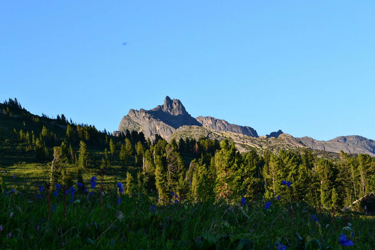 � �������� ��������� ����� J.G.Ch.  �� PhotoGeek.ru #������ ��� �������