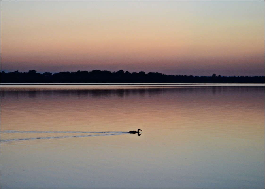 ... ����� J.G.Ch.  �� PhotoGeek.ru #������ ��� �������