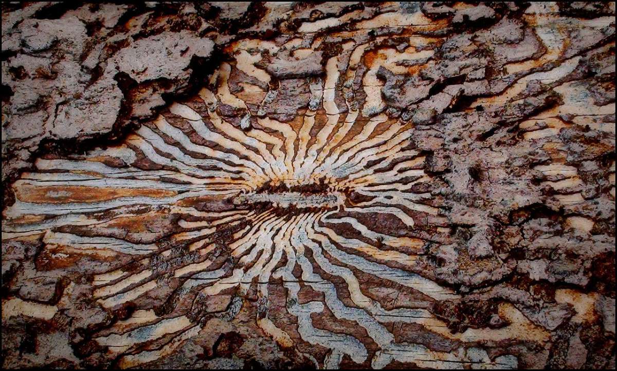 ... ����� J.G.Ch.  �� PhotoGeek.ru #�����