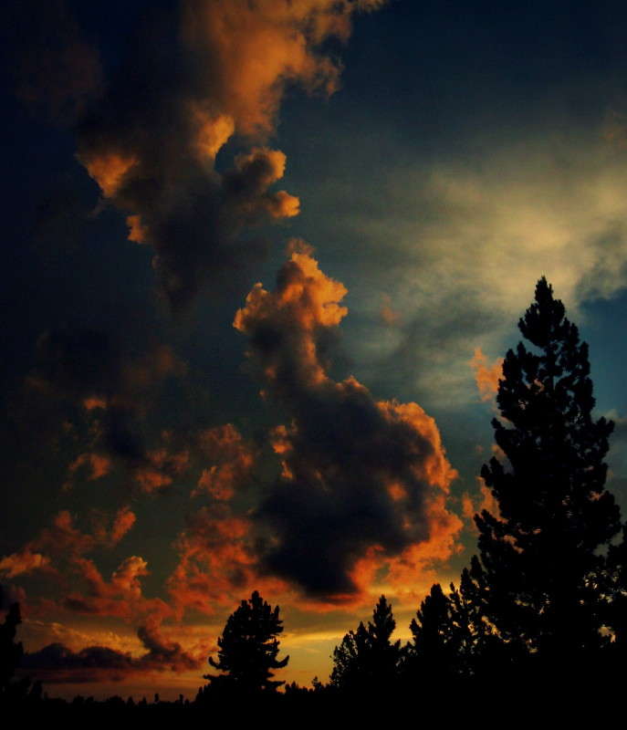 ... ����� J.G.Ch.  �� PhotoGeek.ru #������ ��� �������