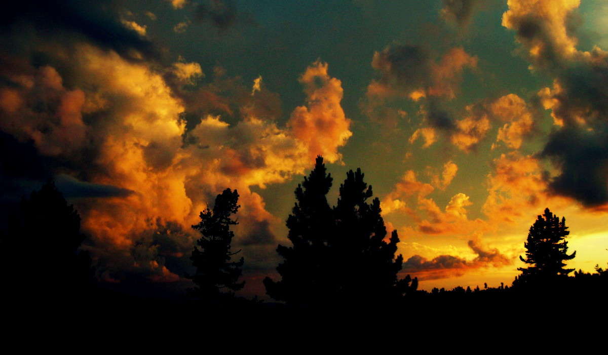 ... ����� J.G.Ch.  �� PhotoGeek.ru #������ ��� �������