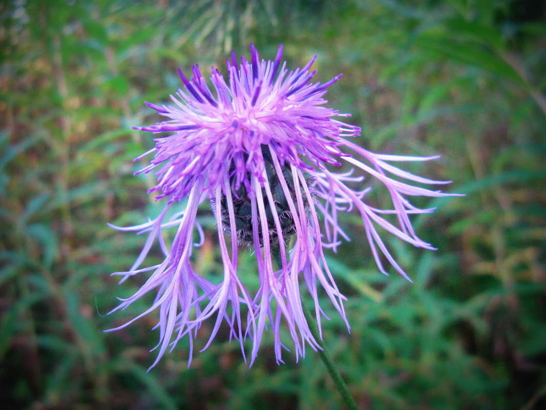 ... ����� J.G.Ch.  �� PhotoGeek.ru #����� #����� ��������������