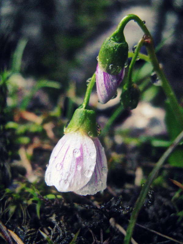 ... ����� J.G.Ch.  �� PhotoGeek.ru #����� #����� ��������������