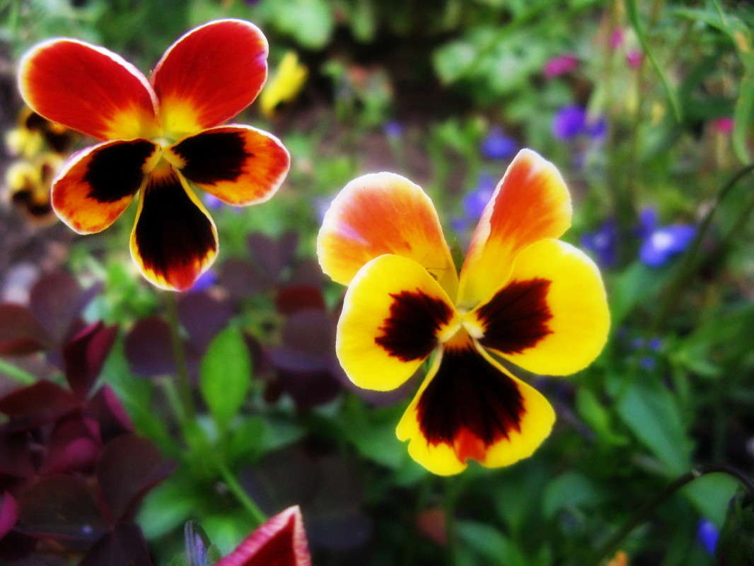 ... ����� J.G.Ch.  �� PhotoGeek.ru #����� #����� ��������������