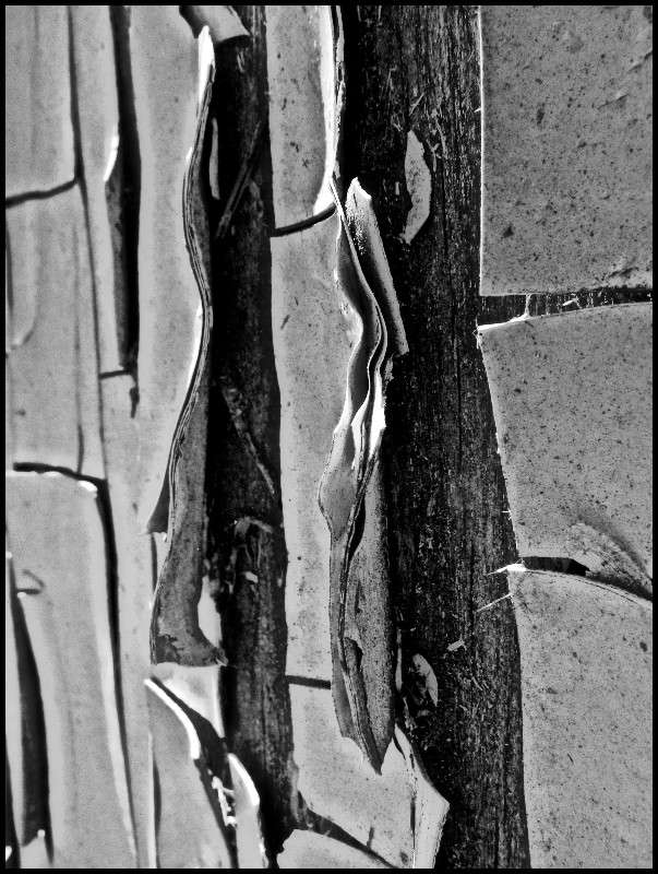 ... ����� J.G.Ch.  �� PhotoGeek.ru #�����