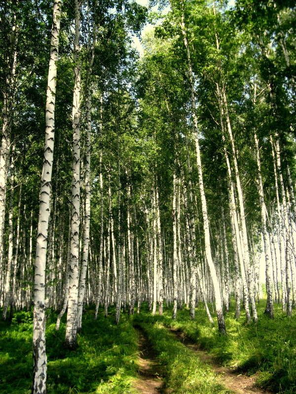 ... ����� J.G.Ch.  �� PhotoGeek.ru #������ ��� �������