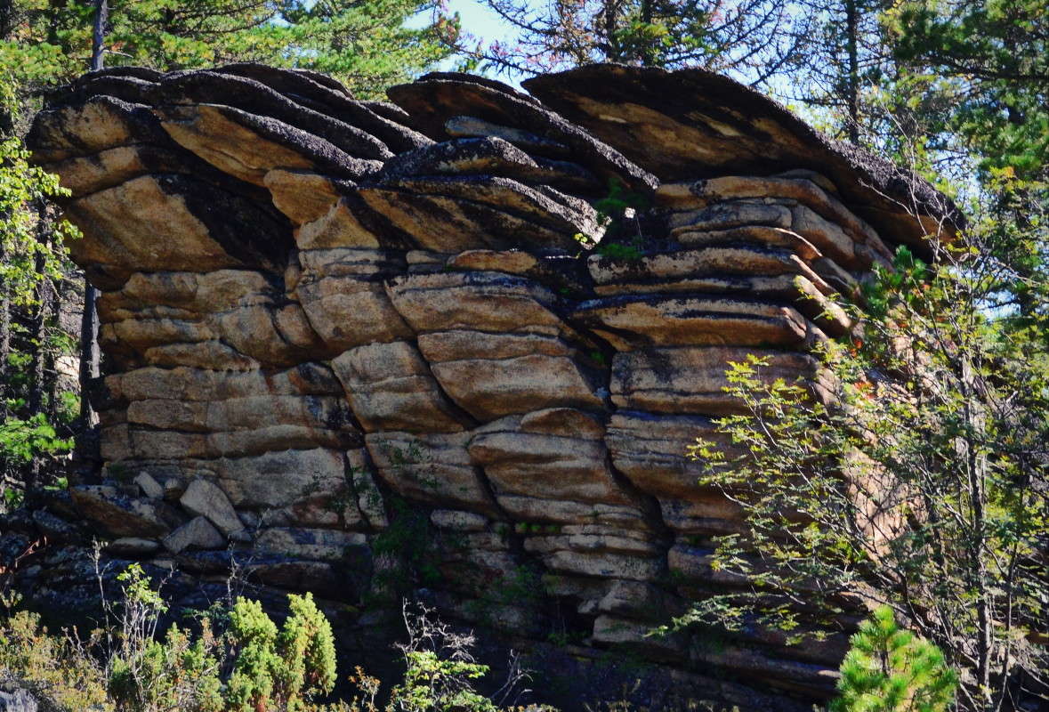 ��������� ����� J.G.Ch.  �� PhotoGeek.ru #������ ��� �������