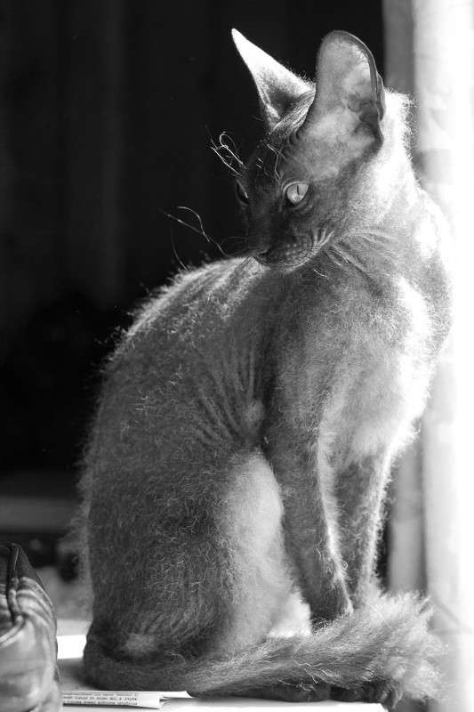 ... ����� �����  �� PhotoGeek.ru #�������� ���