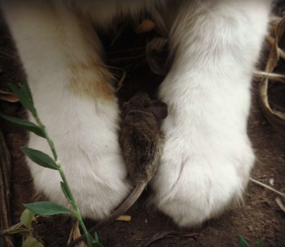 ������ ����� Victoria Juravleva �� PhotoGeek.ru #�������� ��� #�������� ���������� #���������������