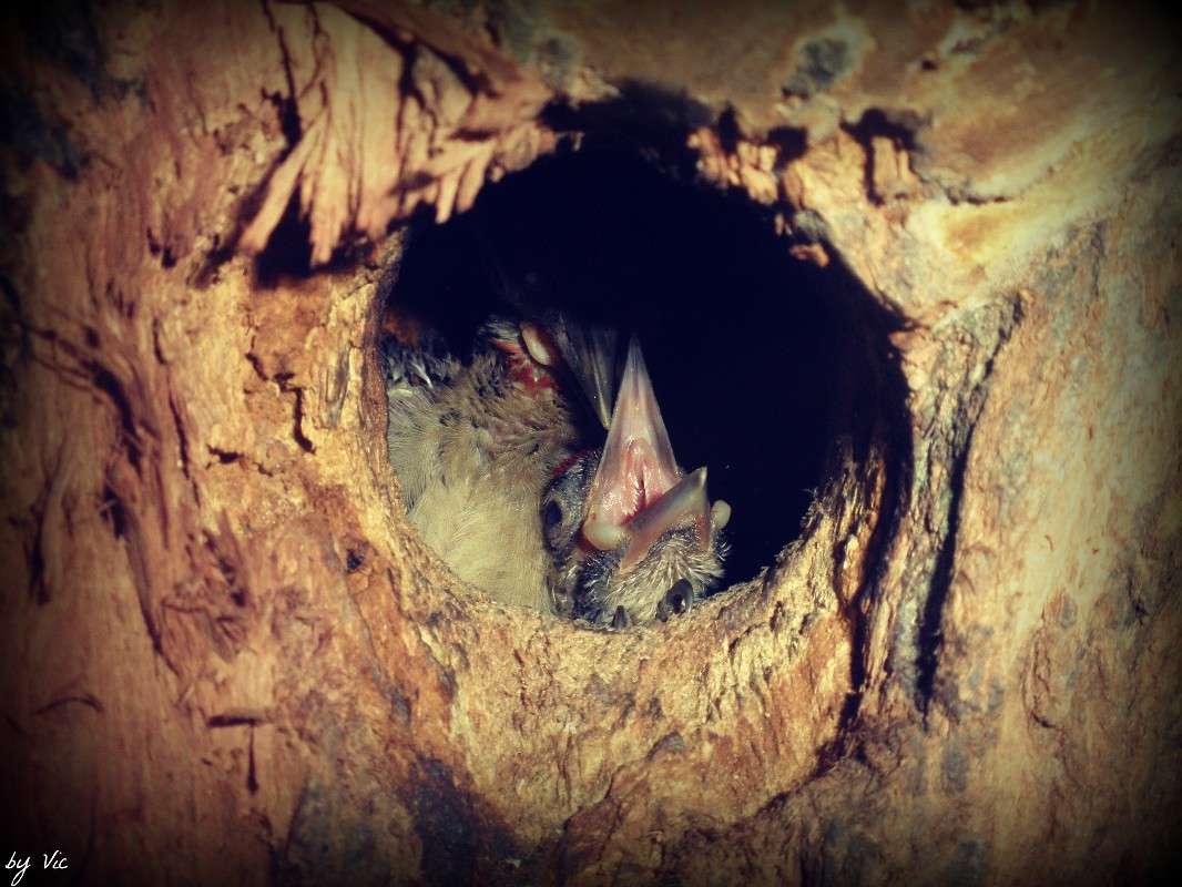 ������ ����� Victoria Juravleva �� PhotoGeek.ru #�������� ��� #����� ��� ��� ���������