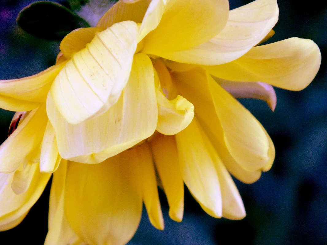 access of tenderness ����� Arina Kolomiecz �� PhotoGeek.ru #����� #����� ��������������