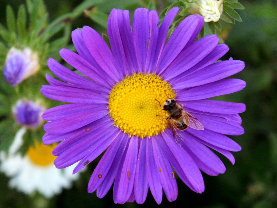 memories of gone summer ����� Arina Kolomiecz �� PhotoGeek.ru #����� #������ ��� ������� #����� �������������� #���������