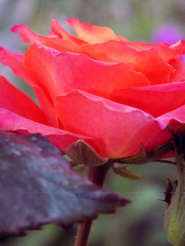 memories of gone summer ����� Arina Kolomiecz �� PhotoGeek.ru #����� #������ ��� ������� #����� ��������������