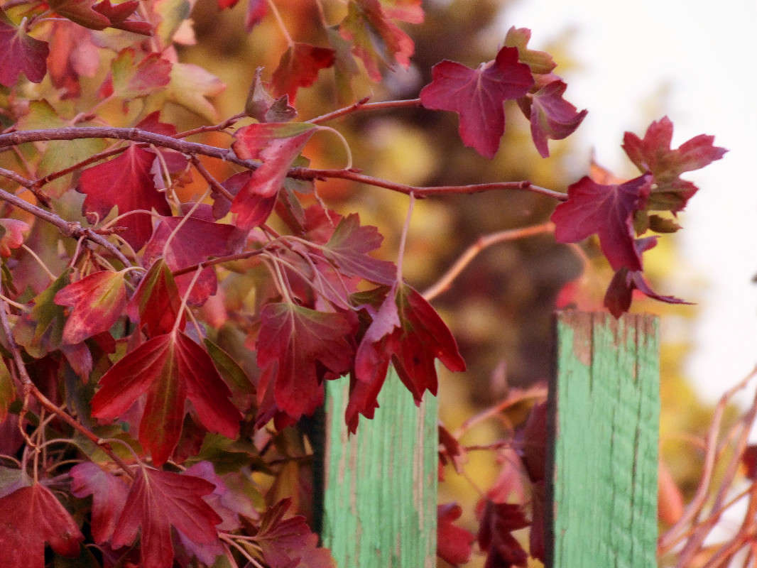 sentyabrya time. ����� Arina Kolomiecz �� PhotoGeek.ru #������ ��� ������� #����� ��������������