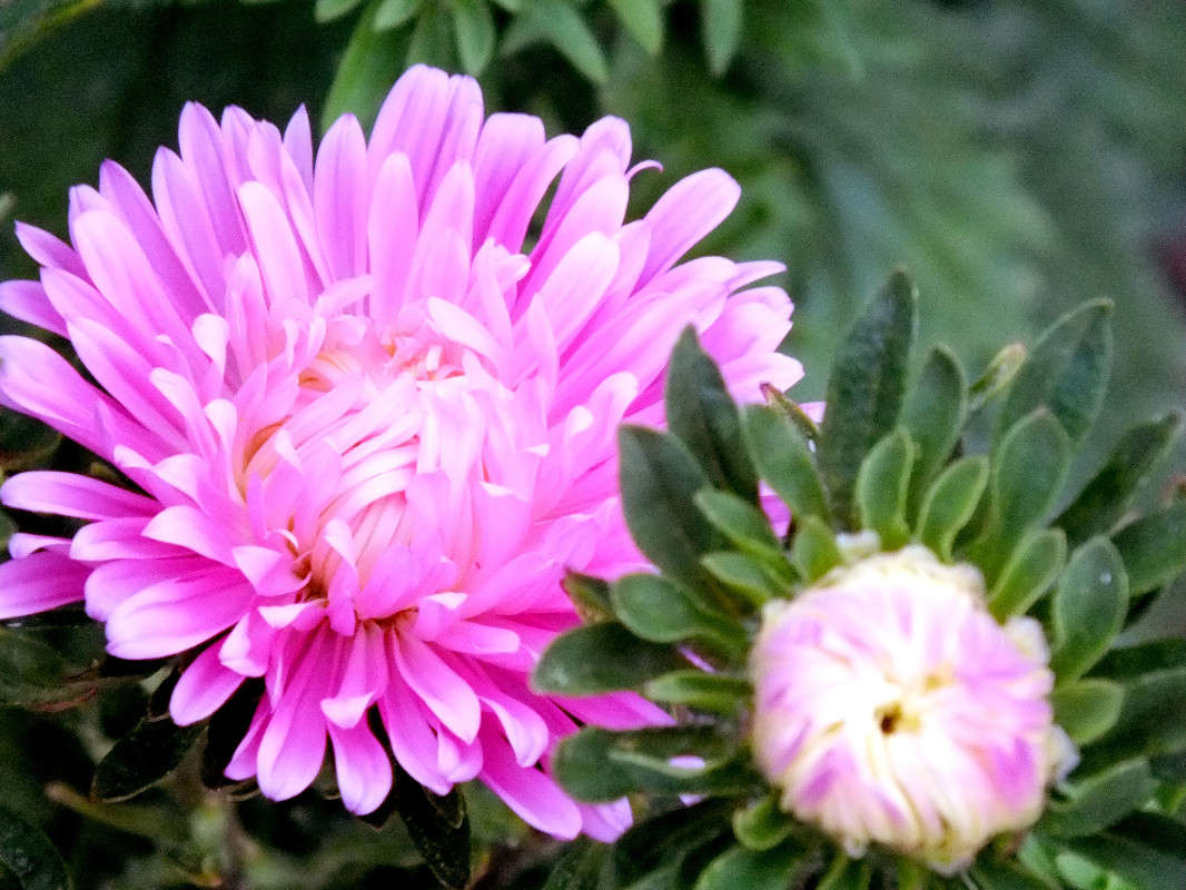 romanticism ����� Arina Kolomiecz �� PhotoGeek.ru #����� #������ ��� ������� #����� ��������������