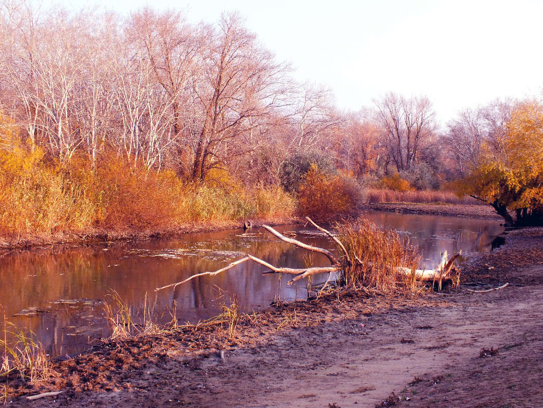 �������... ����� Arina Kolomiecz �� PhotoGeek.ru #������ ��� ������� #����� �������������� #����� ��������