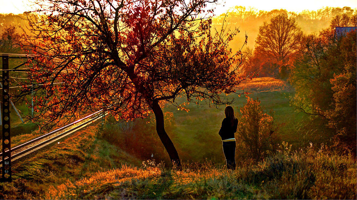 Peaceful Valley автор Kenny Rafalsky на PhotoGeek.ru #Девушка #Дерево #Долина #Железная дорога #Женщина #Закат #Лес #Лето #Листья #Луч #Осень #Поезд #Природа #Рельсы #Свет #Сказка #Солнце #Трава