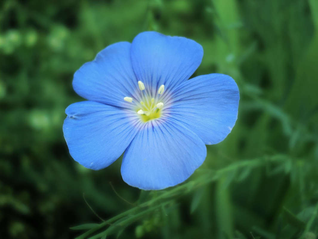 ... ����� Arina  �� PhotoGeek.ru #������ ��� �������