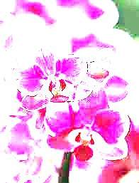 ... ����� �������� s �� PhotoGeek.ru #�����