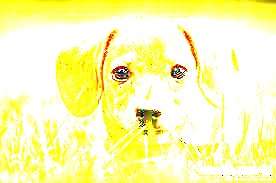 ... ����� �������� s �� PhotoGeek.ru #�������� ���