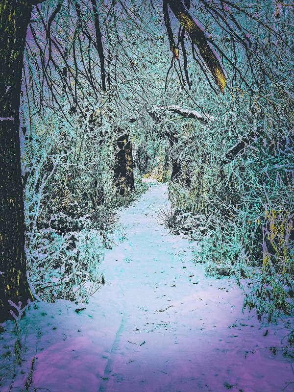 ���� ����� Kim  �� PhotoGeek.ru #������ ��� �������