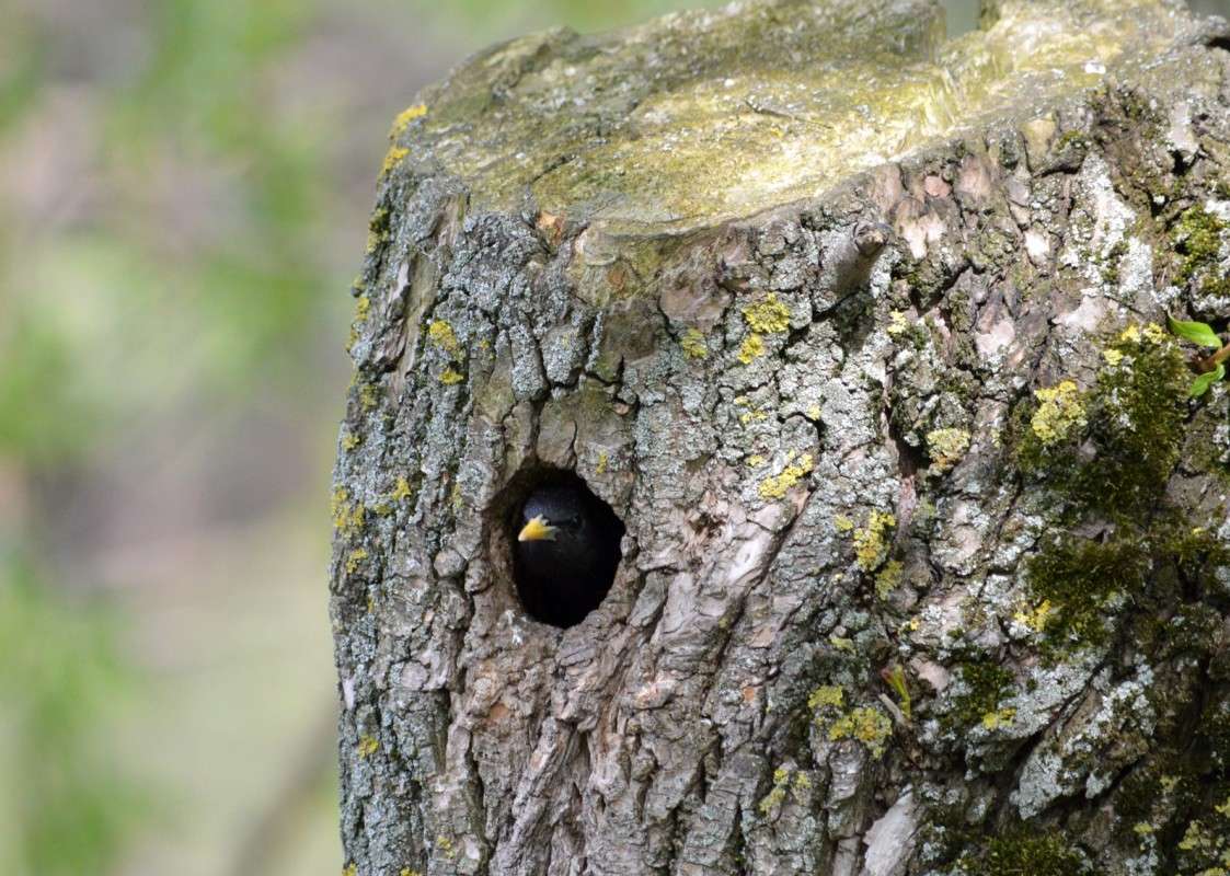 ���� � �����! ����� �����  �� PhotoGeek.ru #������ ��� �������