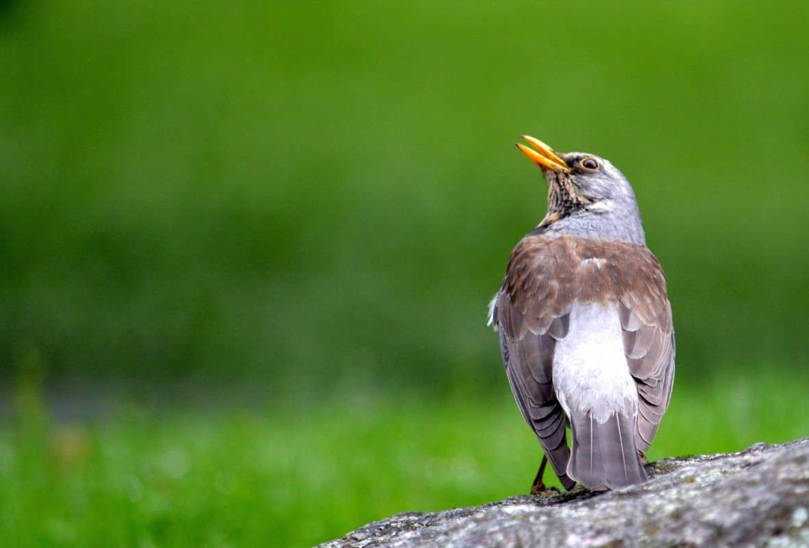 ... ����� �����  �� PhotoGeek.ru #������ ��� �������