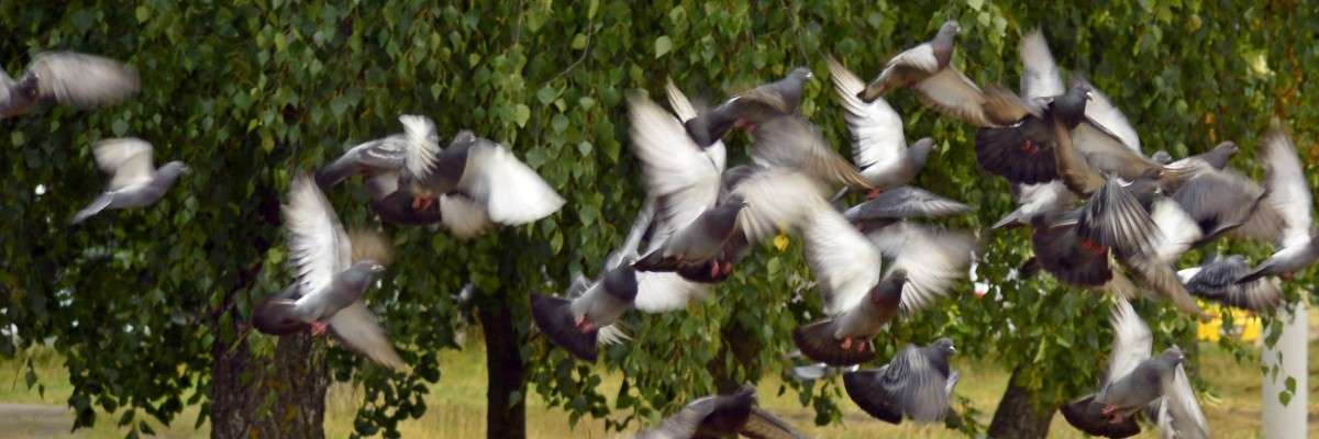 ... ����� �����  �� PhotoGeek.ru #����� #������ ��� �������