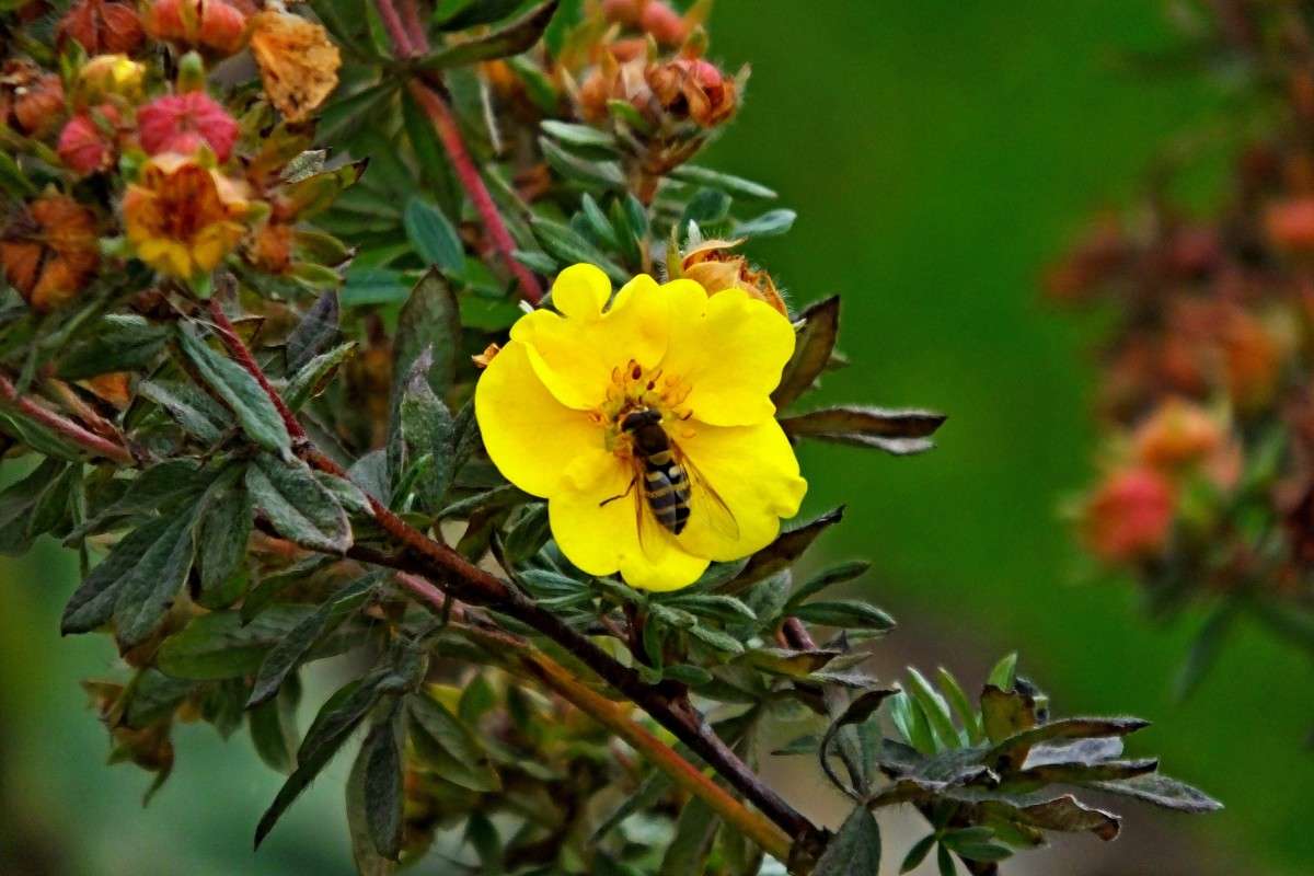 ... ����� �����  �� PhotoGeek.ru #����� #�������� ��� #������ ��� �������