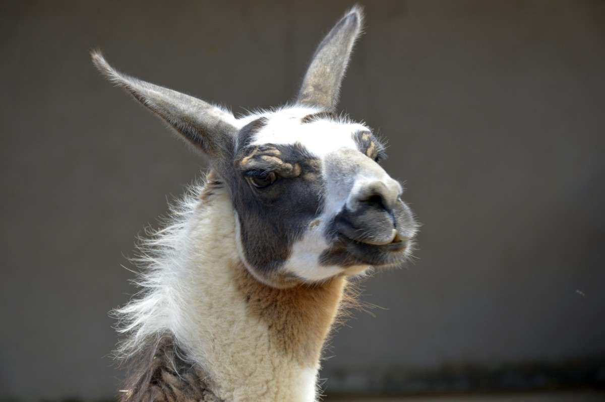 ���� ����� �����  �� PhotoGeek.ru #�������� ��� #�������