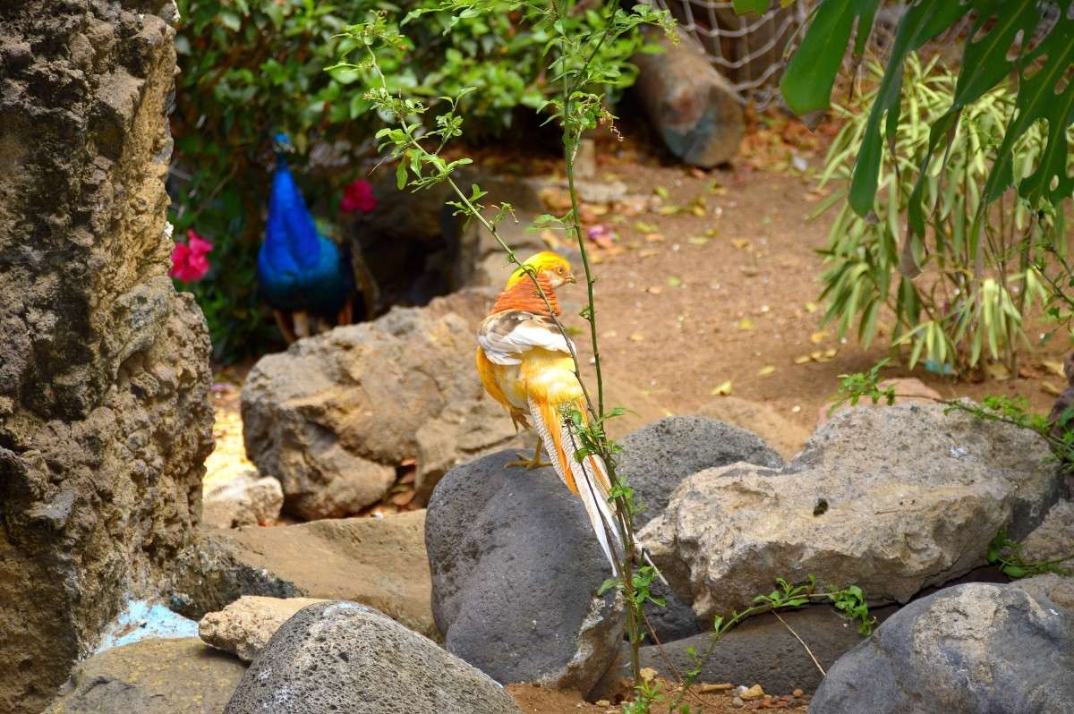 ... ����� �����  �� PhotoGeek.ru #�������� ��� #������ ��� ������� #�������