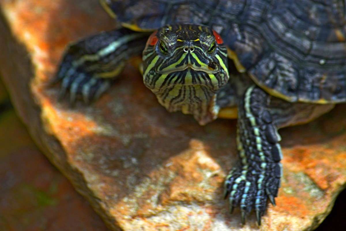 ... ����� �����  �� PhotoGeek.ru #�������� ��� #�������