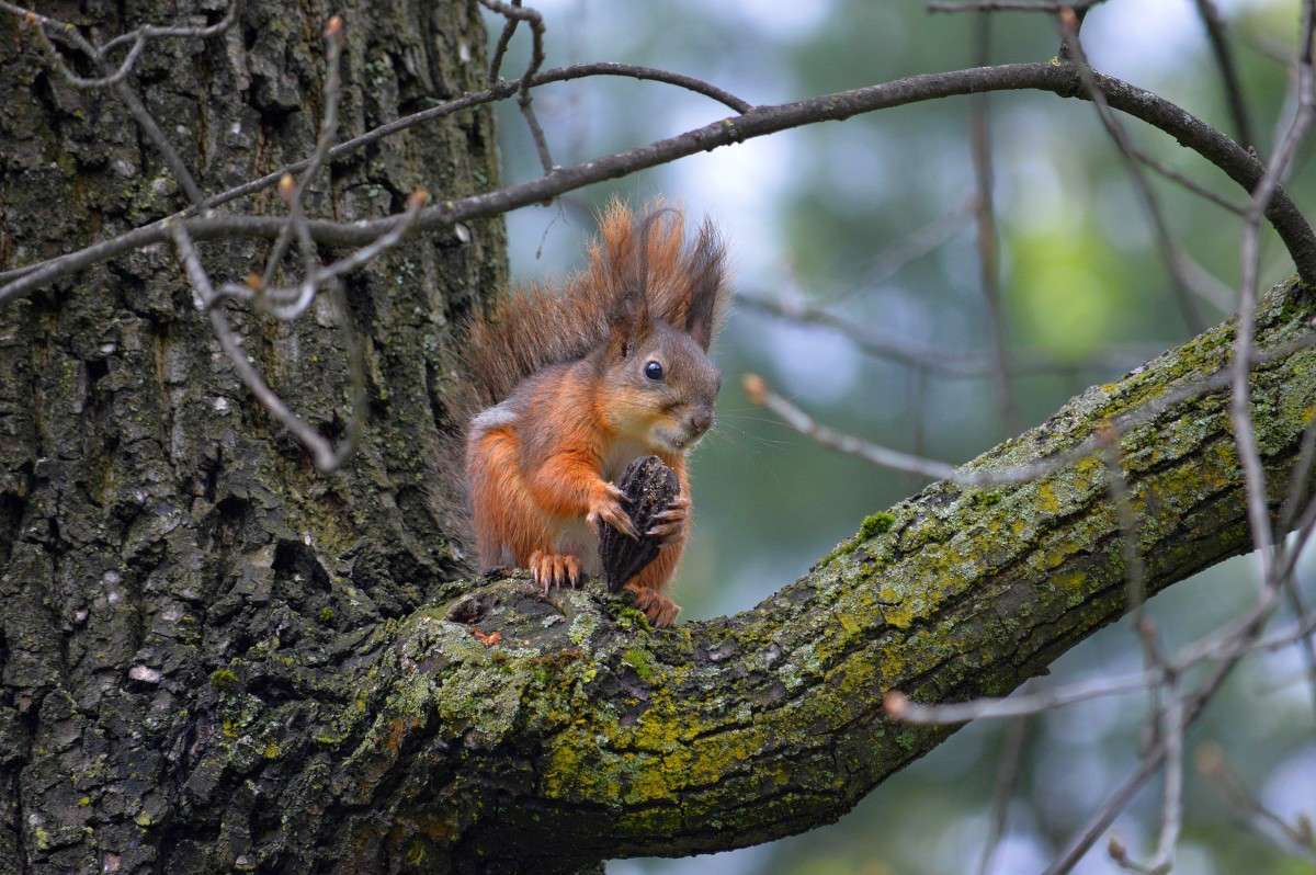 ... ����� �����  �� PhotoGeek.ru #�������� ���