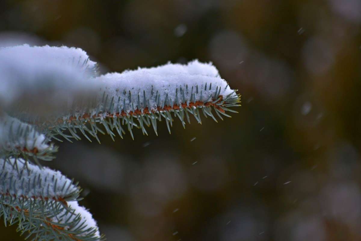 ... ����� �����  �� PhotoGeek.ru #������ ��� �������