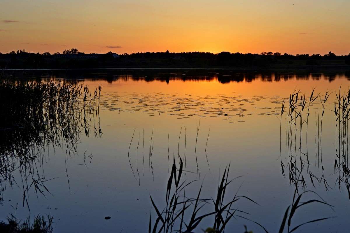 ... ����� �����  �� PhotoGeek.ru #������ ��� �������