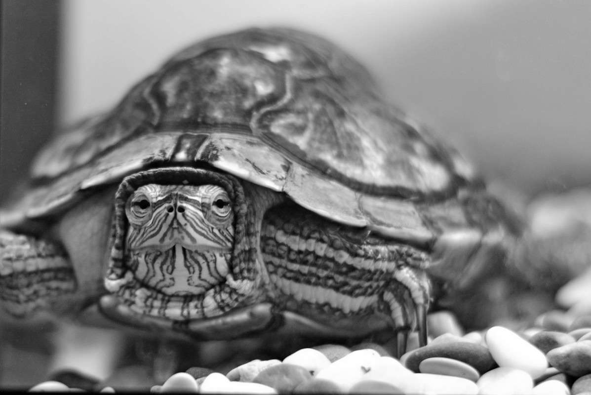 ... ����� �����  �� PhotoGeek.ru #�������� ���